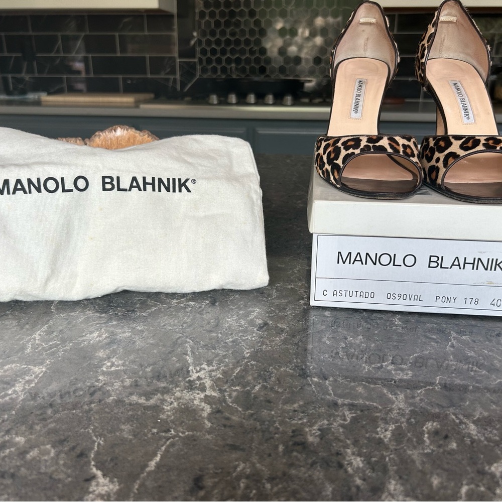 Manolo Blahnik Brown and Black Heels with Classic Pointed Toe
